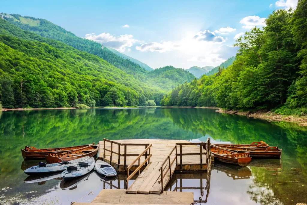 Forest and Lake Embrace in National Park Biogradska Gora